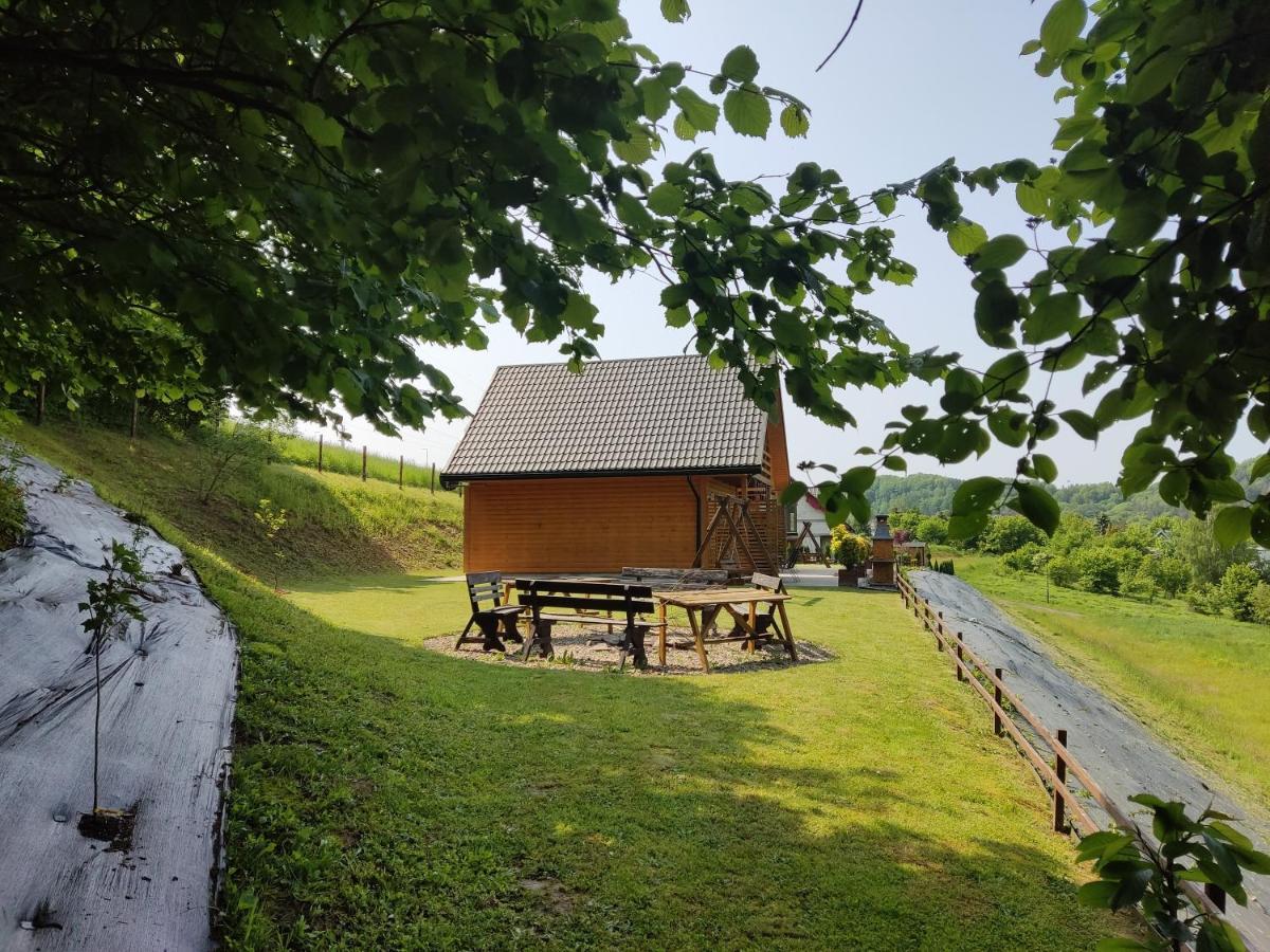Chaty Na Cholewicy Domki Caloroczne Solina  Exterior photo